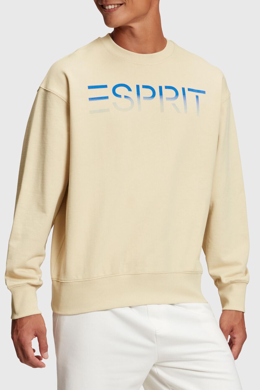 Flocked logo applique sweatshirt